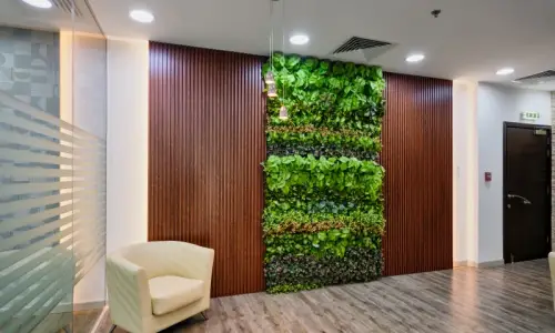 Vertical Gardens